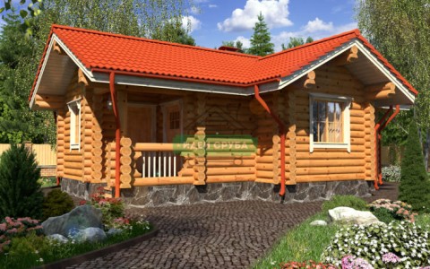 Строительство домов из бревна. Как построить недорогой, качественный и экологичный дом